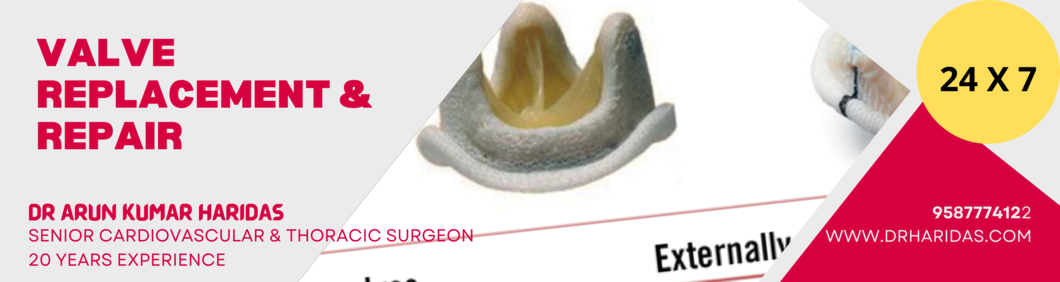Slide Image 3